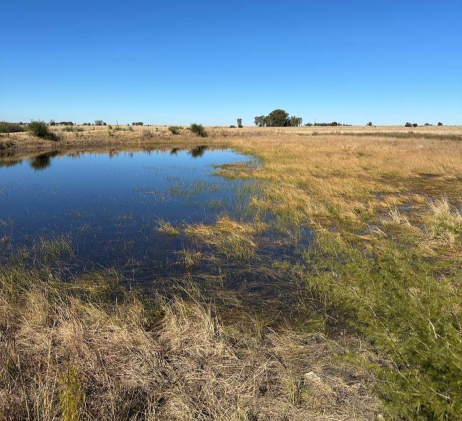 Commercial Property for Sale in Leeudoringstad North West